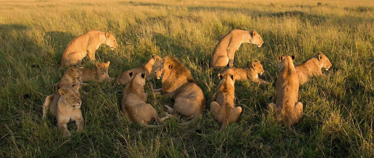 隠し言葉の写真を作成する